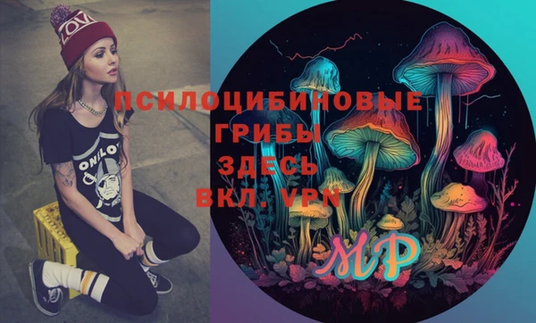 мяу мяу мука Покровск