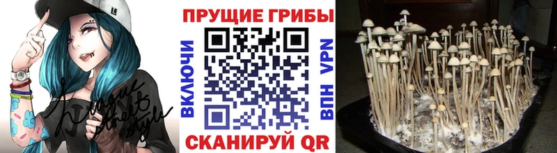Псилоцибиновые грибы прущие грибы  цены   Юхнов 